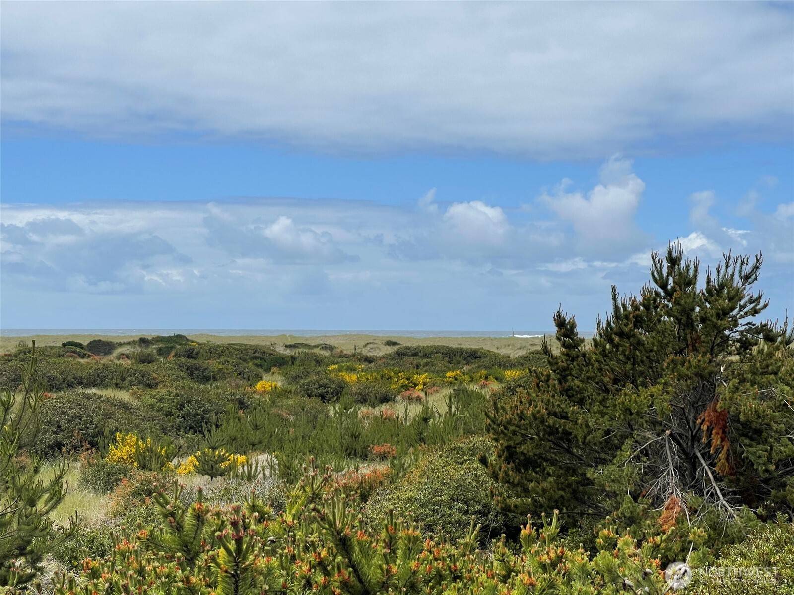 855 S Sand Dune AVE SW, Ocean Shores, WA 98569
