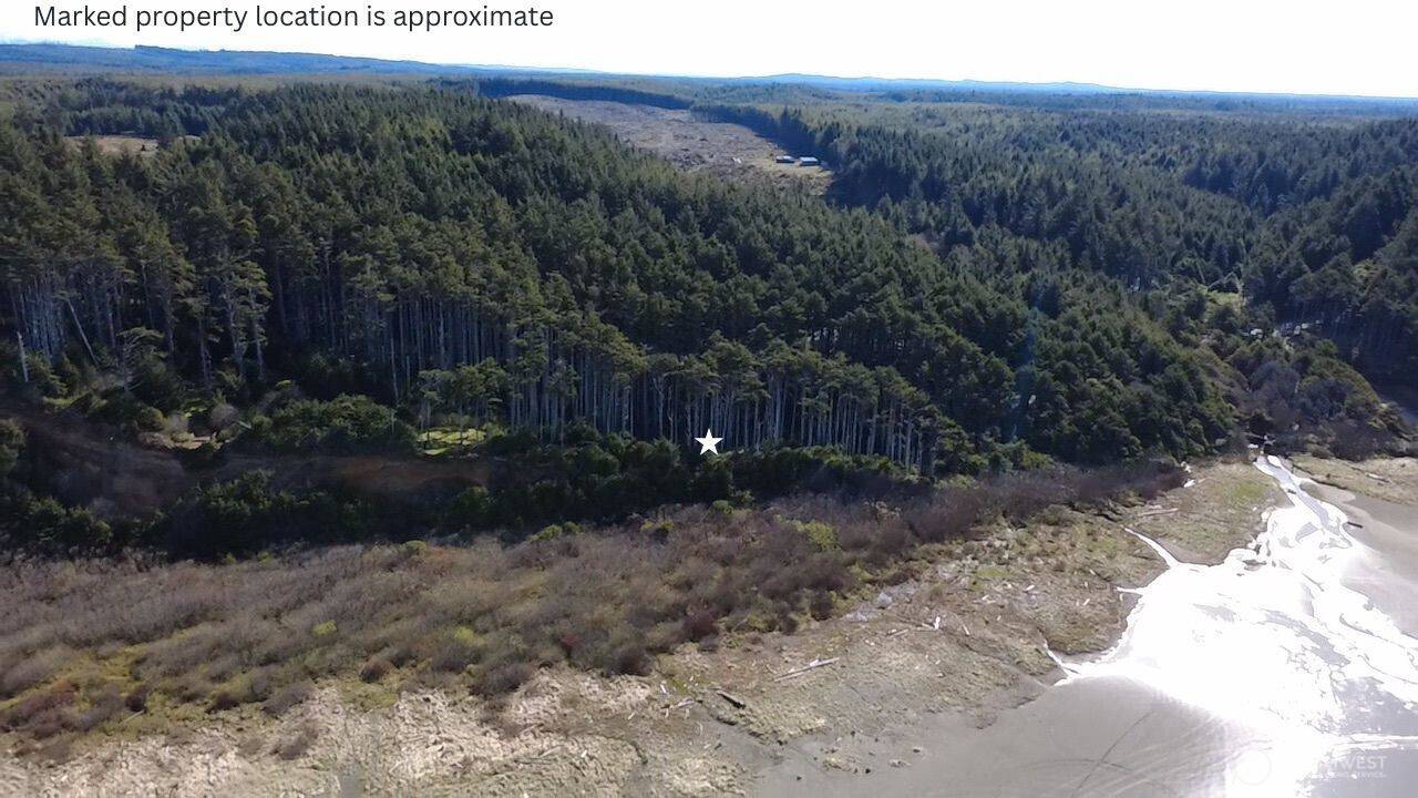 5 & 6 Roosevelt Beach Lots, Pacific Beach, WA 98571