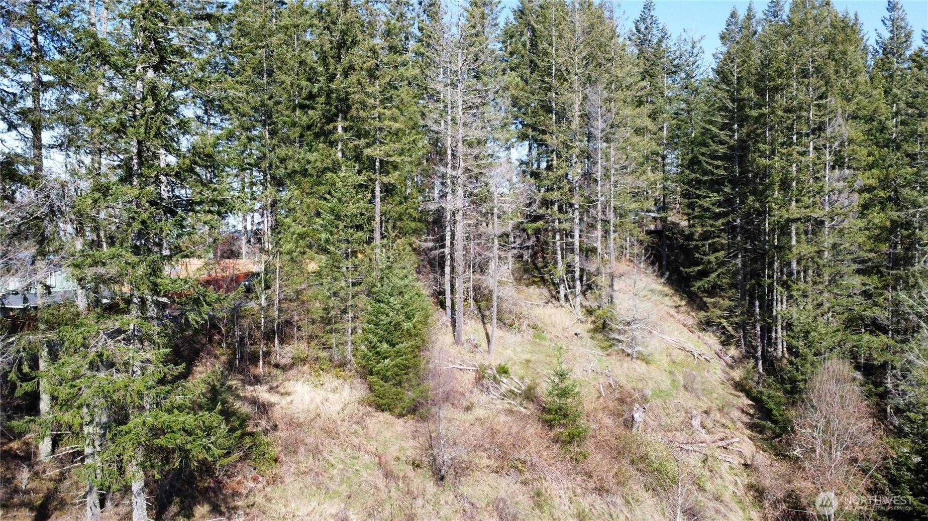 50215 146th AVE E, Eatonville, WA 98328