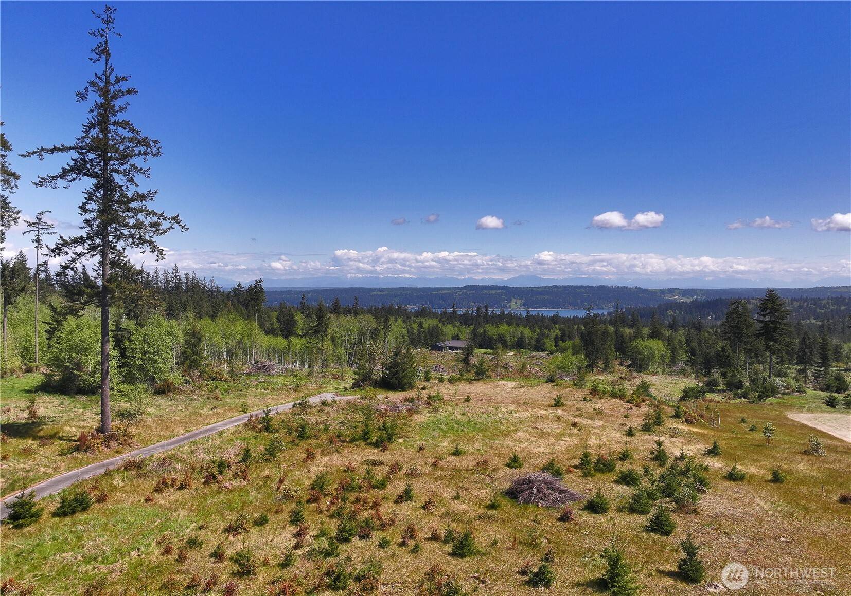 0 Woodland Lane, Freeland, WA 98249