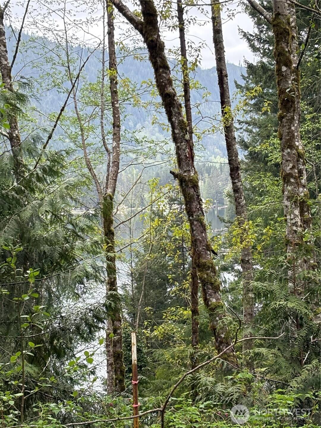 0 XXXXX W Shore DR, Mount Vernon, WA 98274