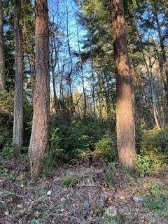 1 Huckleberry LN, Port Ludlow, WA 98365