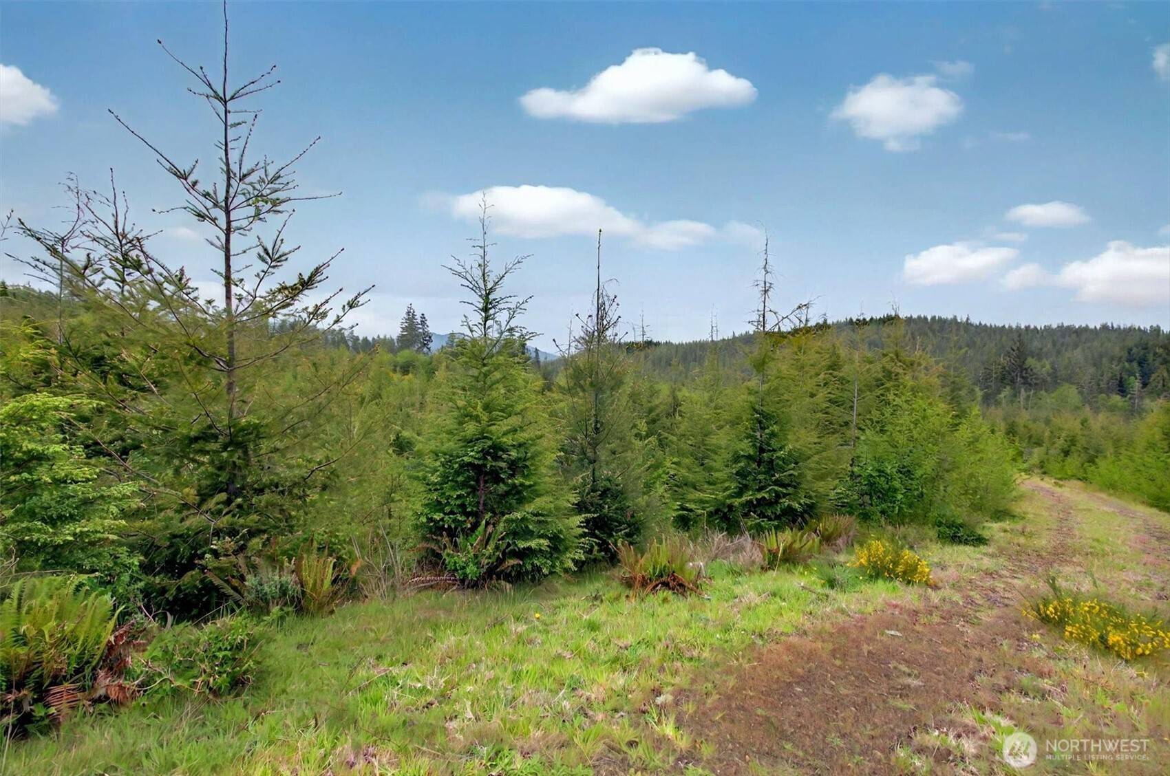 1 Parpala RD #1, Naselle, WA 98638