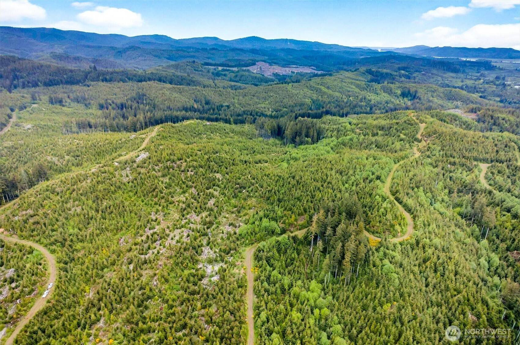 1 Parpala RD #1, Naselle, WA 98638