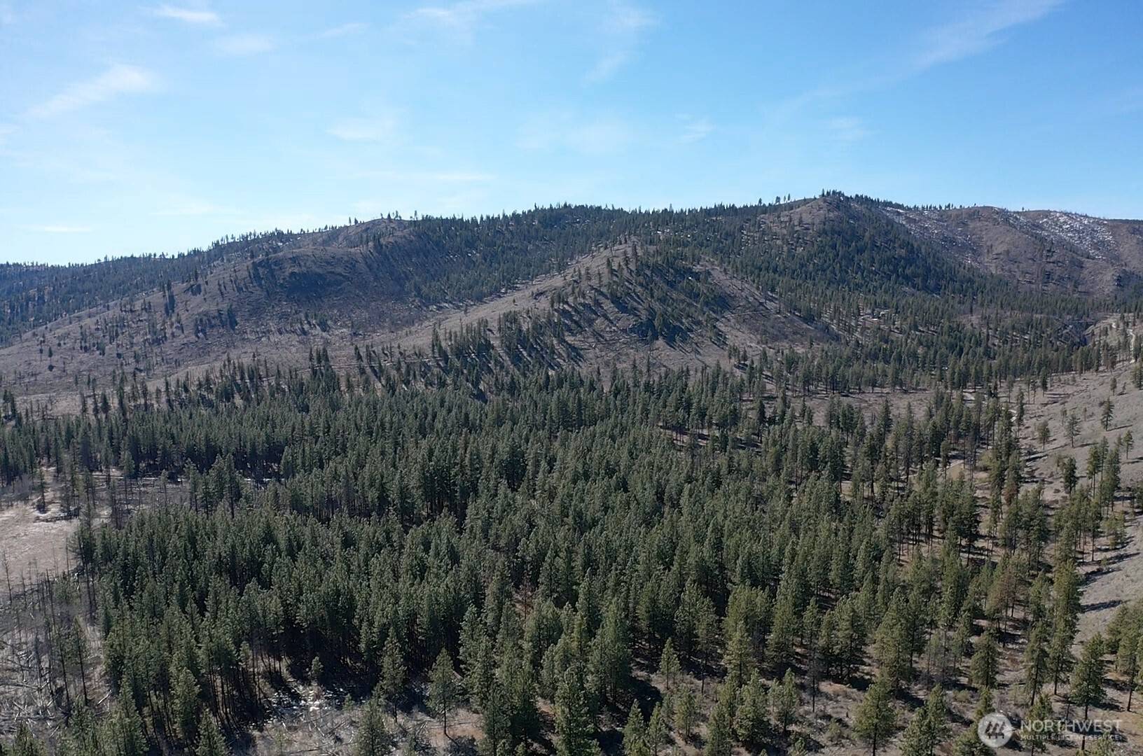 0 NHN Washington Creek RD, Chelan, WA 98816