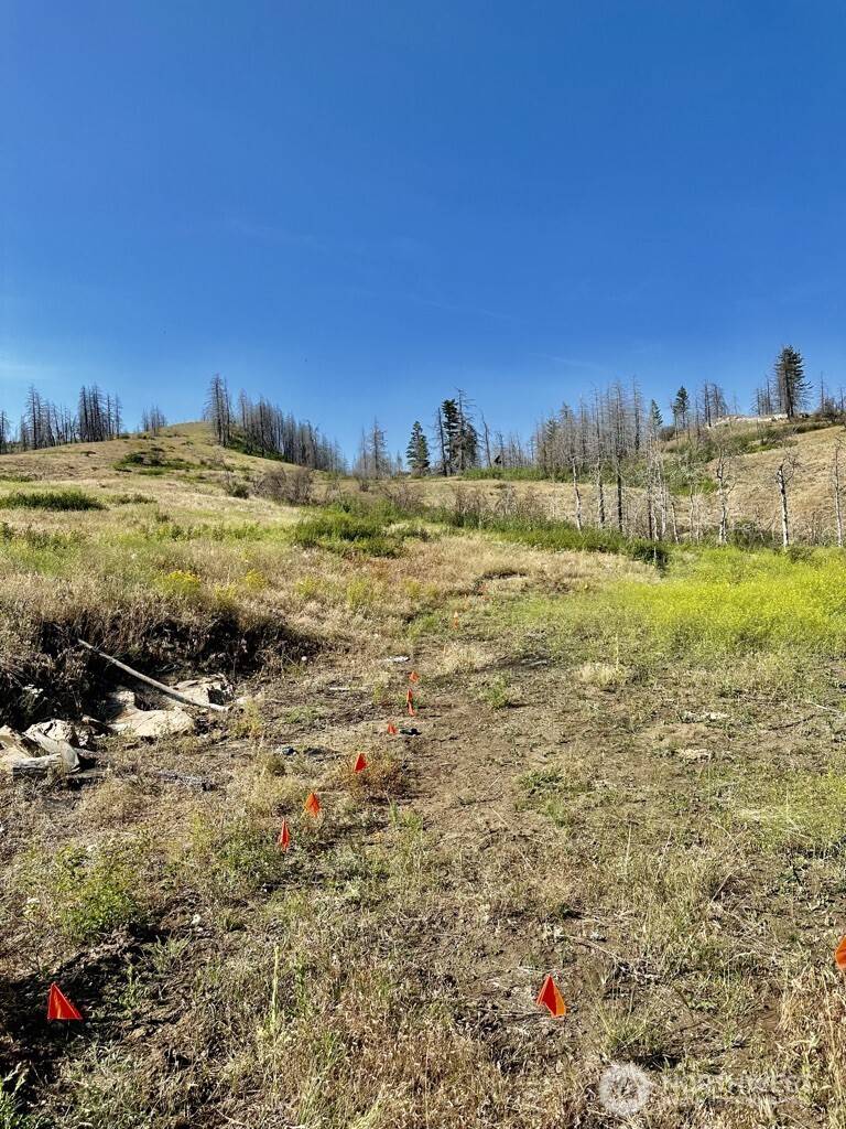 0 Eighme Road, Oroville, WA 98844