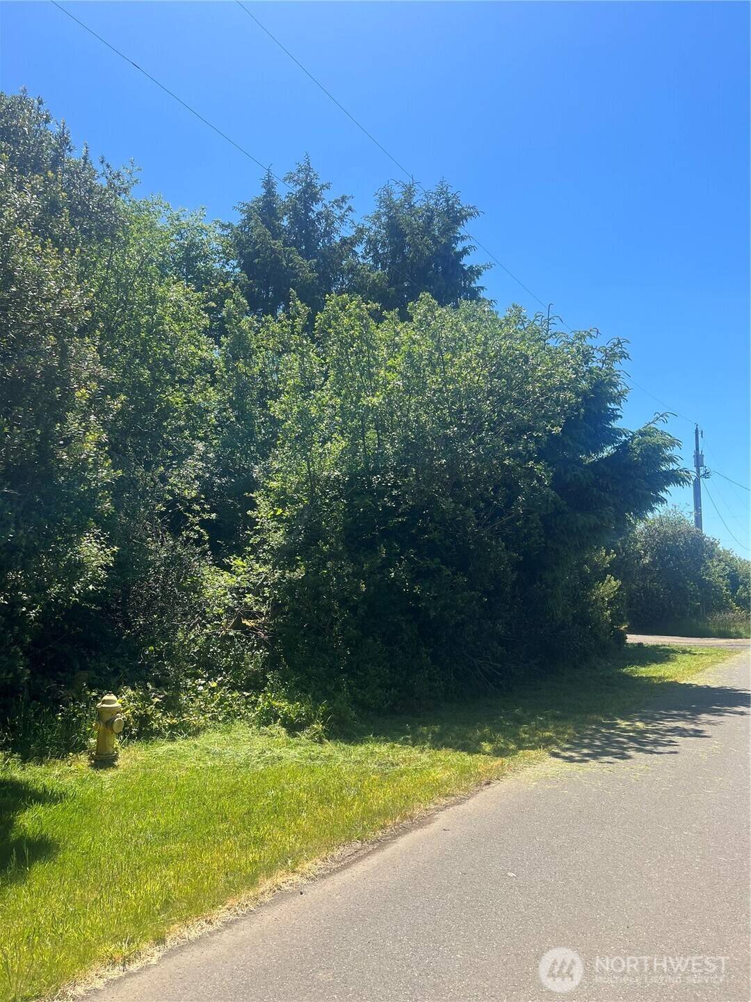 849 Hake CT SW, Ocean Shores, WA 98569