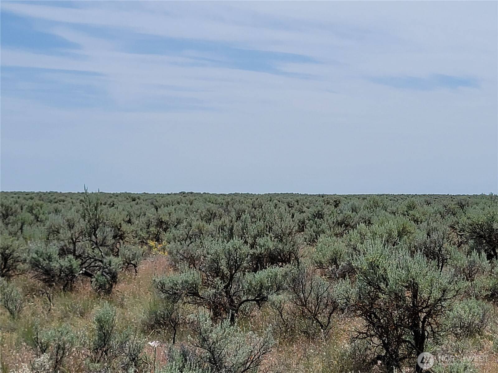 0 Lot 116 Eagle Springs Ranch, Wilson Creek, WA 98860