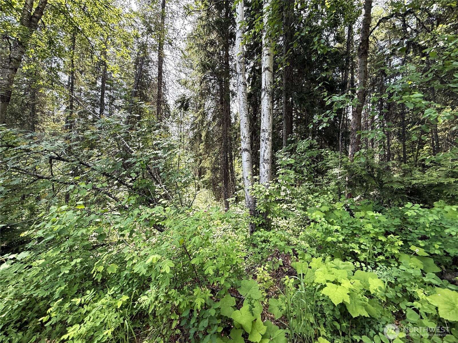 0 Lot 2 Rockabye LN, Curlew, WA 99118