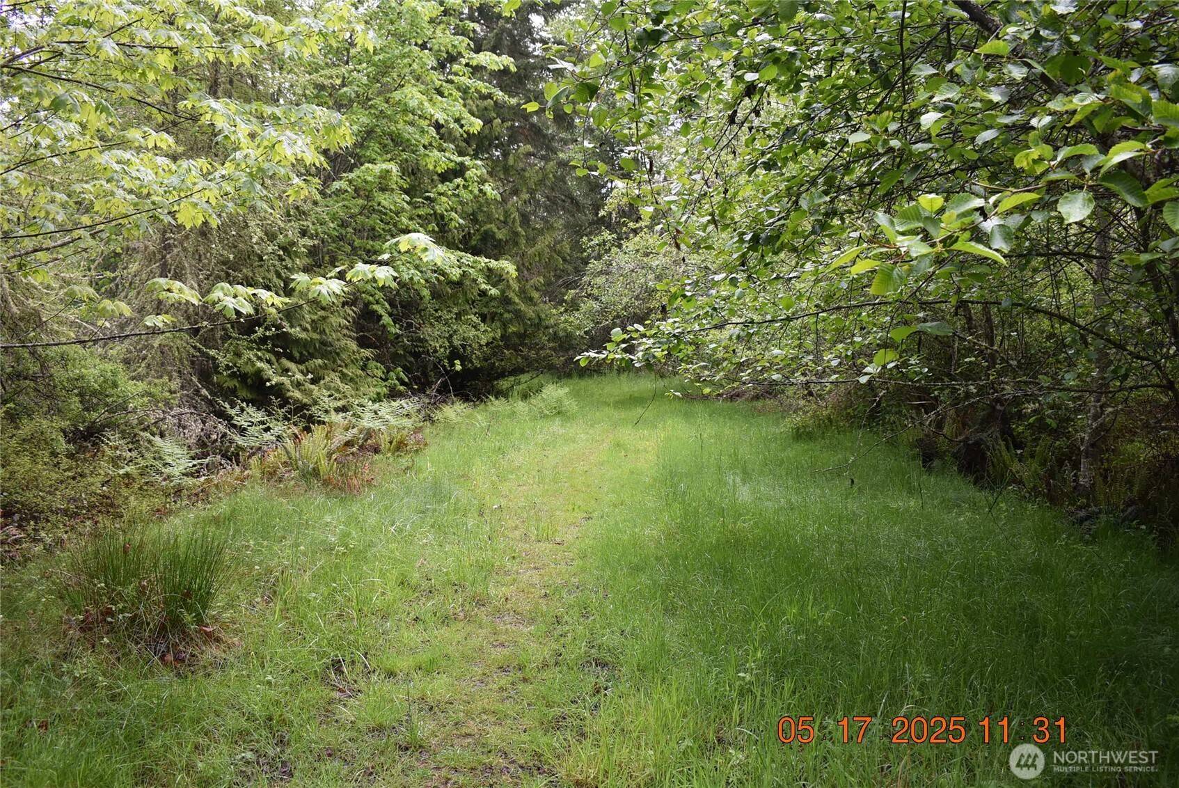0 Lot 40 Township Line RD, Port Angeles, WA 98362