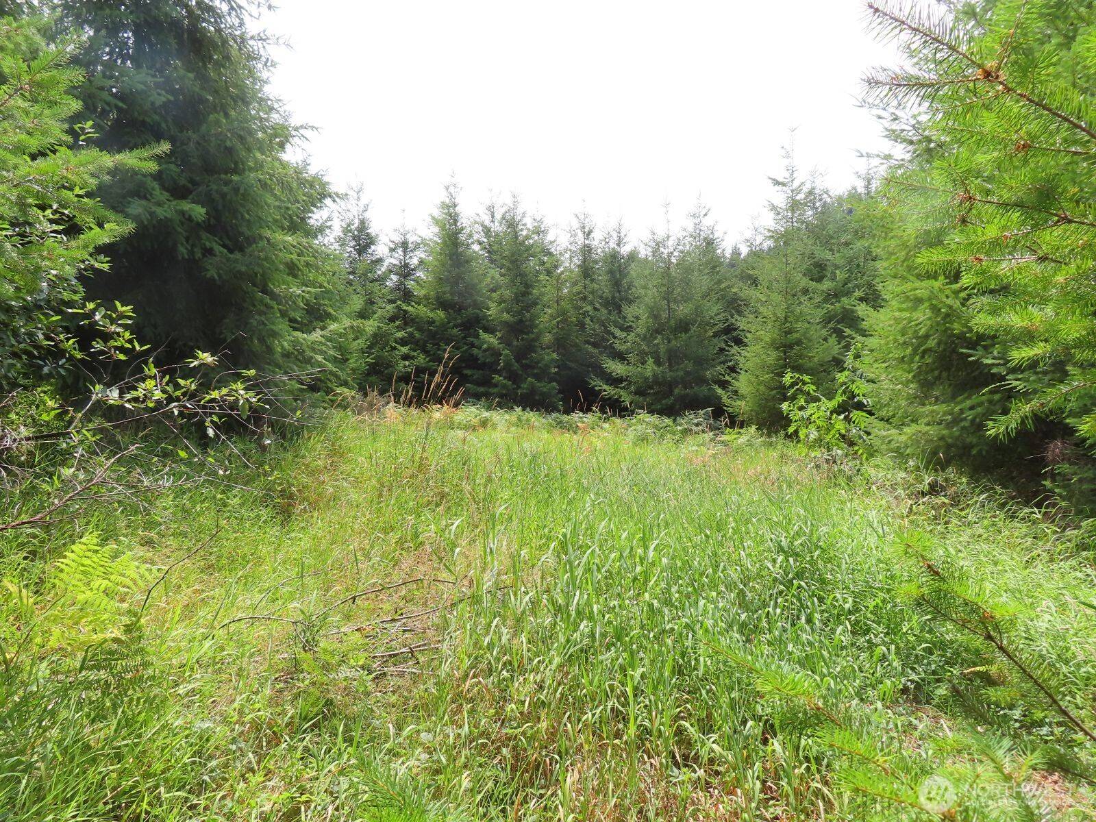 0 Lot H Mill Creek LN, Longview, WA 98632