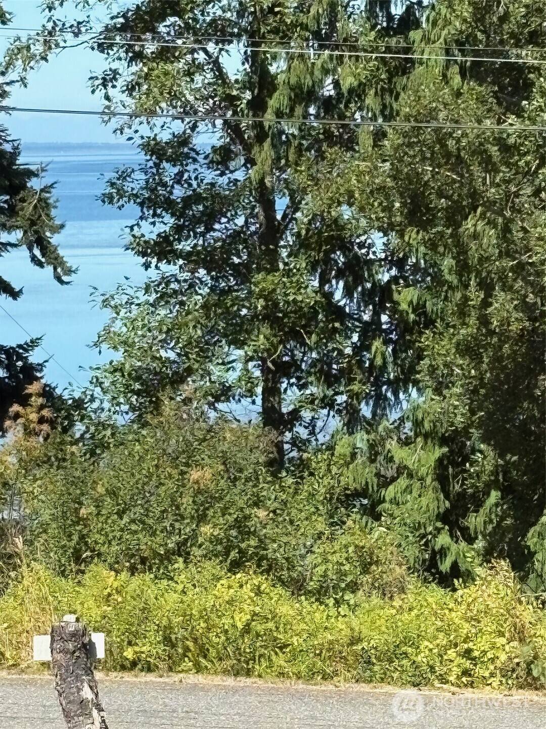 4904 Roney RD, Bow, WA 98232