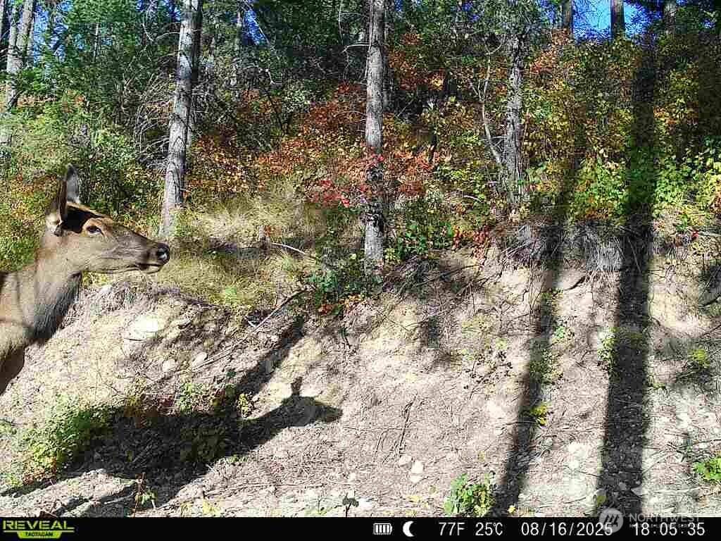 1733 Old CC RD, Addy, WA 99101