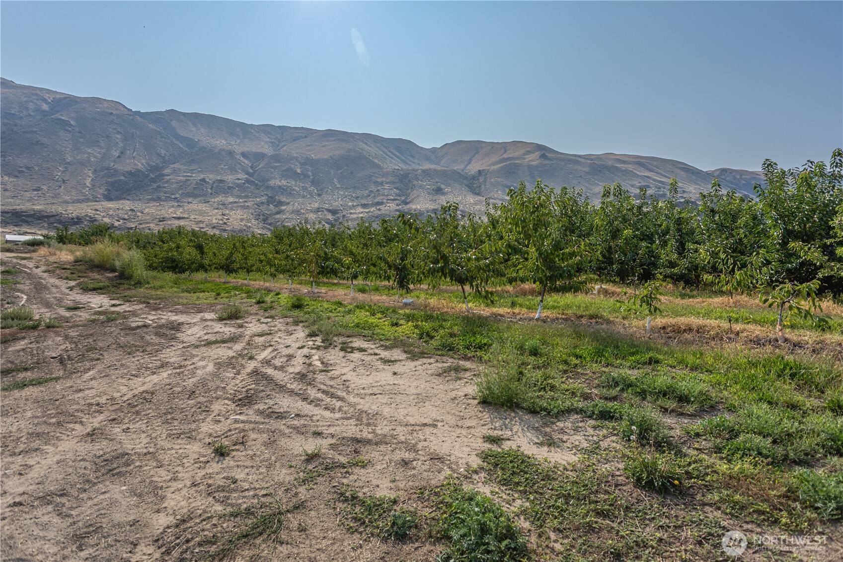13512 US Highway 2 #p.6, East Wenatchee, WA 98802