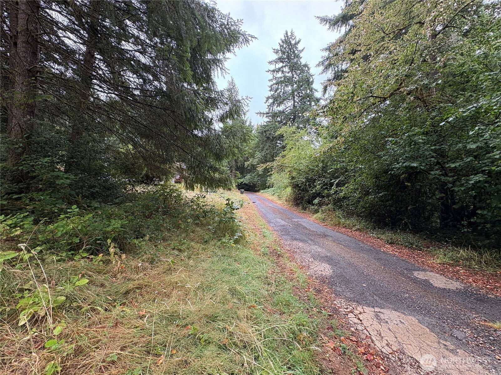 0 LOT B-D SE Rose ST, Winlock, WA 98596