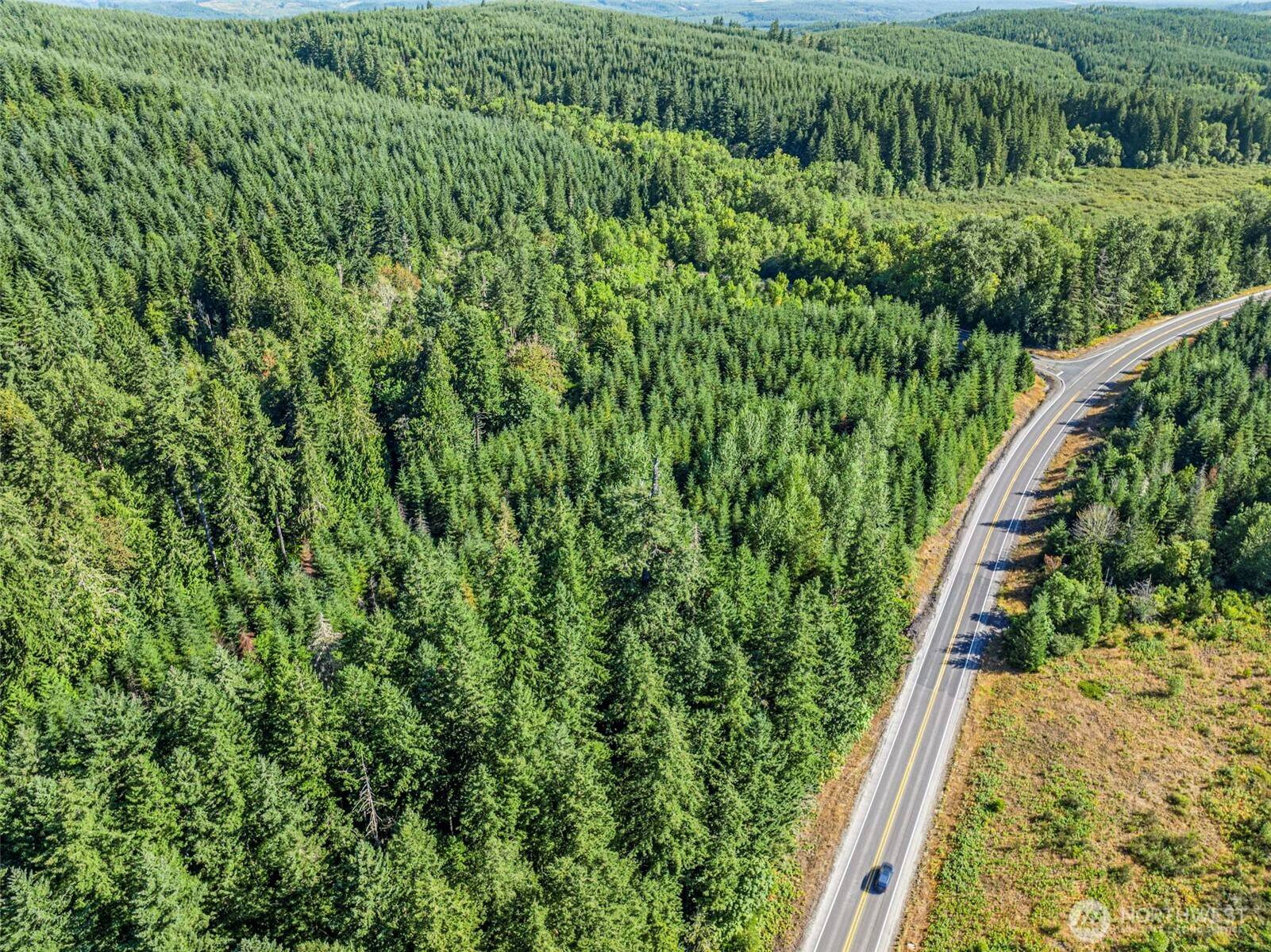 0 NKA Tower RD, Toutle, WA 98649