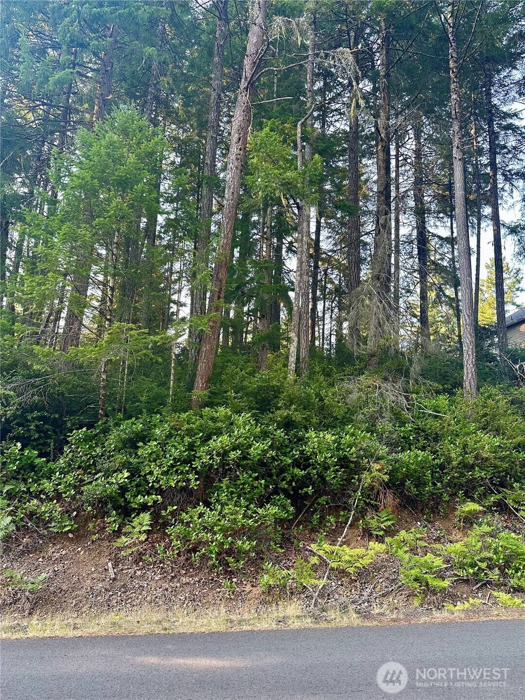 700 E Vine Maple Lane, Union, WA 98592