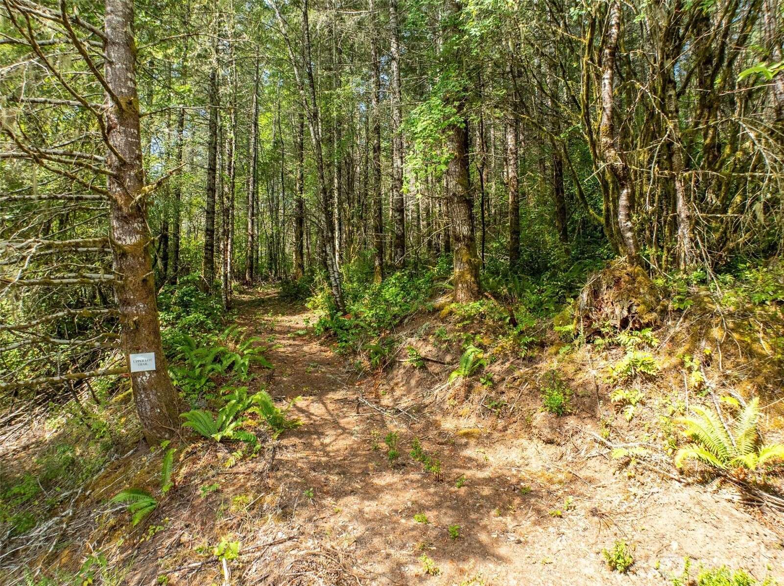 0 Lincoln Creek RD, Rochester, WA 98579