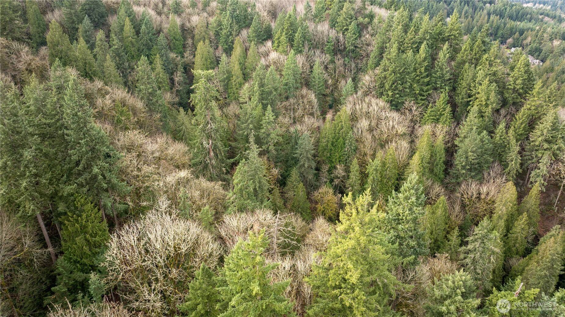 190 XX SE 66th ST, Issaquah, WA 98027