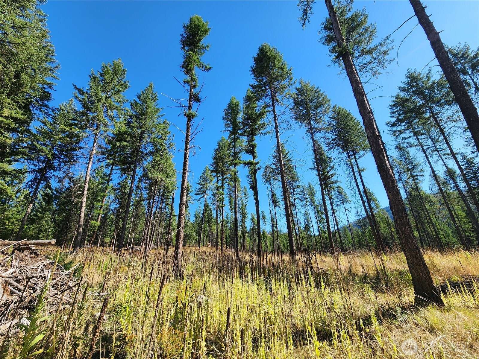 0 Sleepy Hollow RD, Curlew, WA 99118
