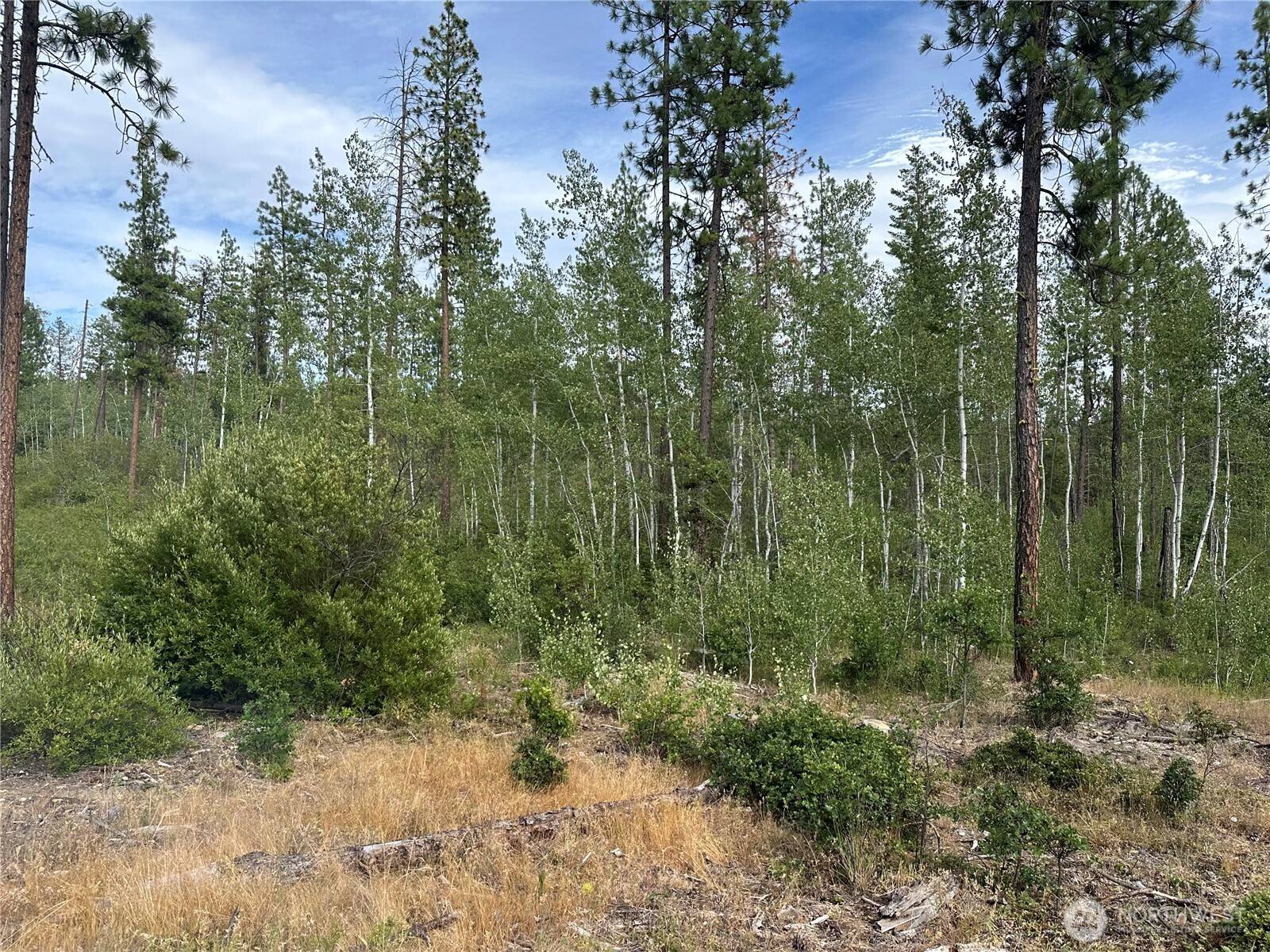 5 Greyback Mt RD, Goldendale, WA 98620