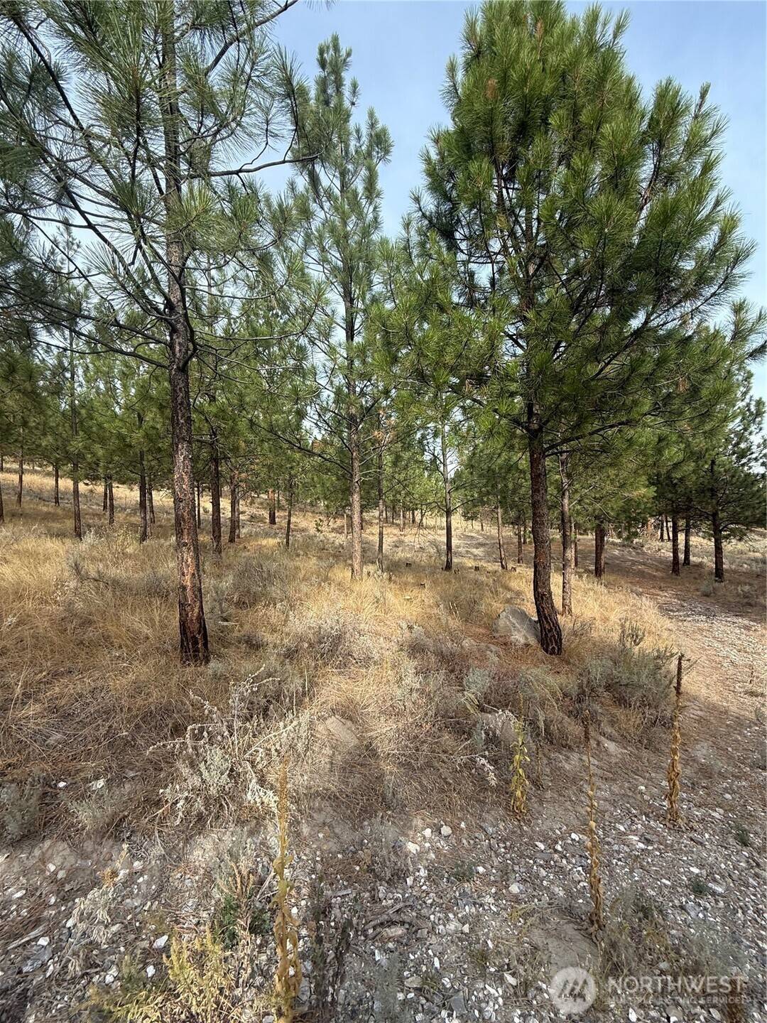 67 W Bannon Creek RD, Tonasket, WA 98855