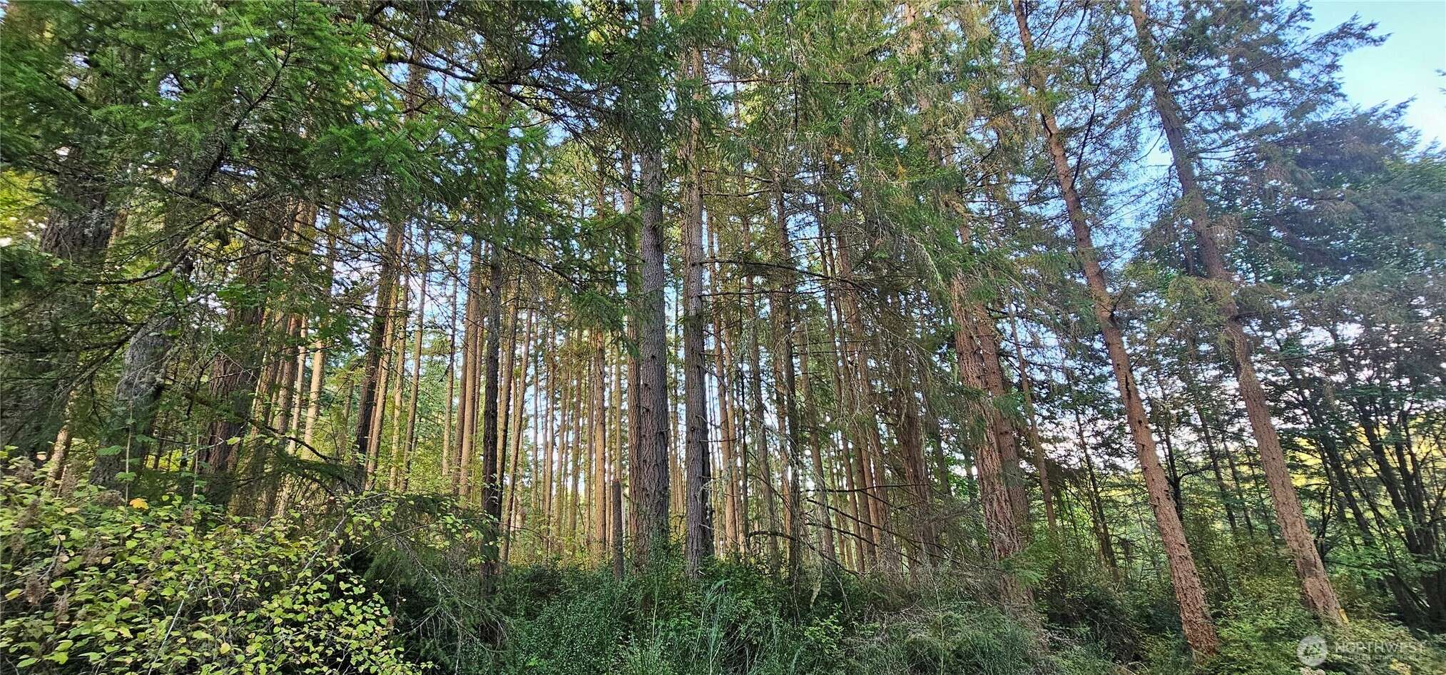 10115 Edgewood DR, Anderson Island, WA 98303