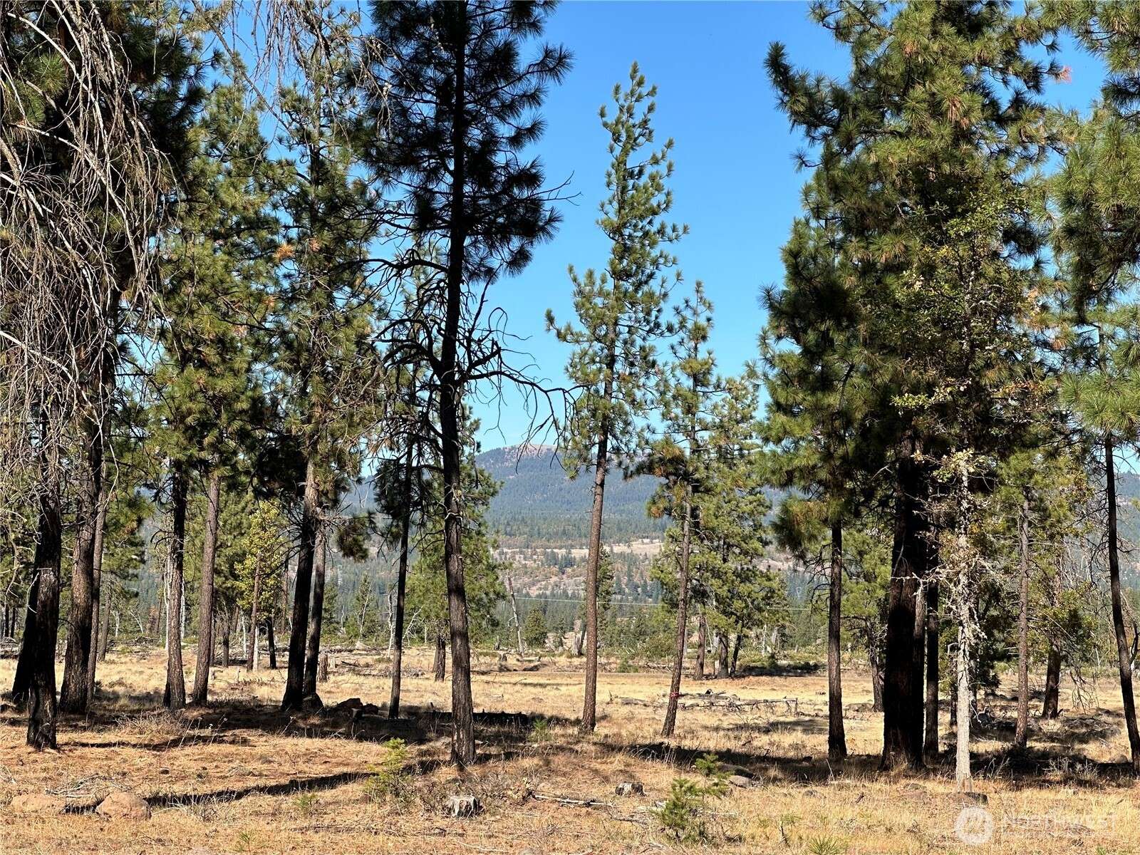 0 Lee RD, Goldendale, WA 98620