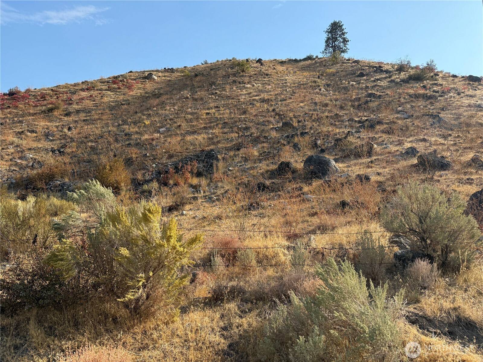 2200 Antoine Creek RD, Chelan, WA 98816