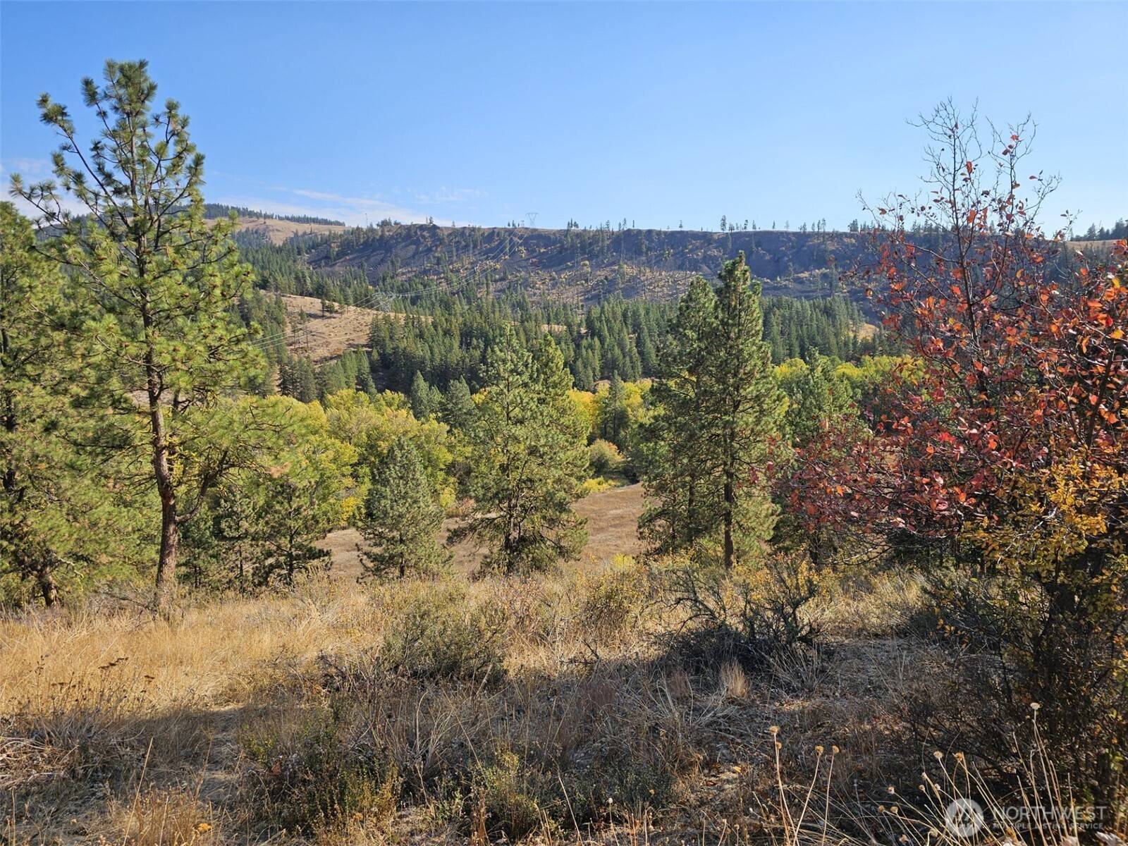 2 D Swauk Pines RD, Cle Elum, WA 98922