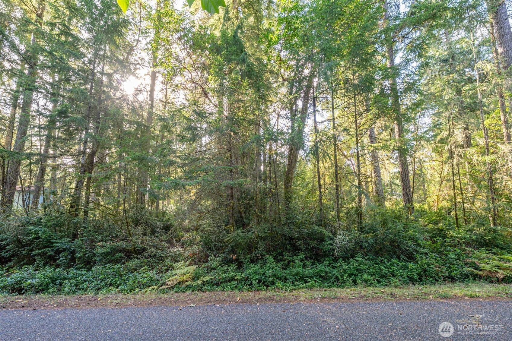 11316 Breaker WAY, Anderson Island, WA 98303