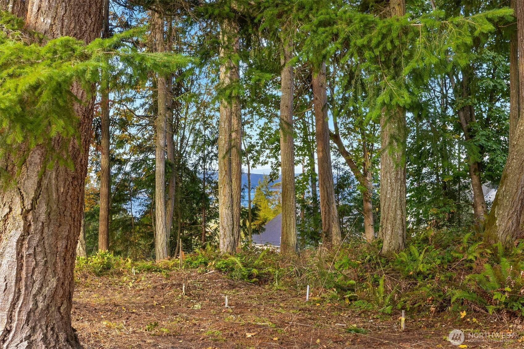 34464 Bridge View DR NE, Kingston, WA 98346