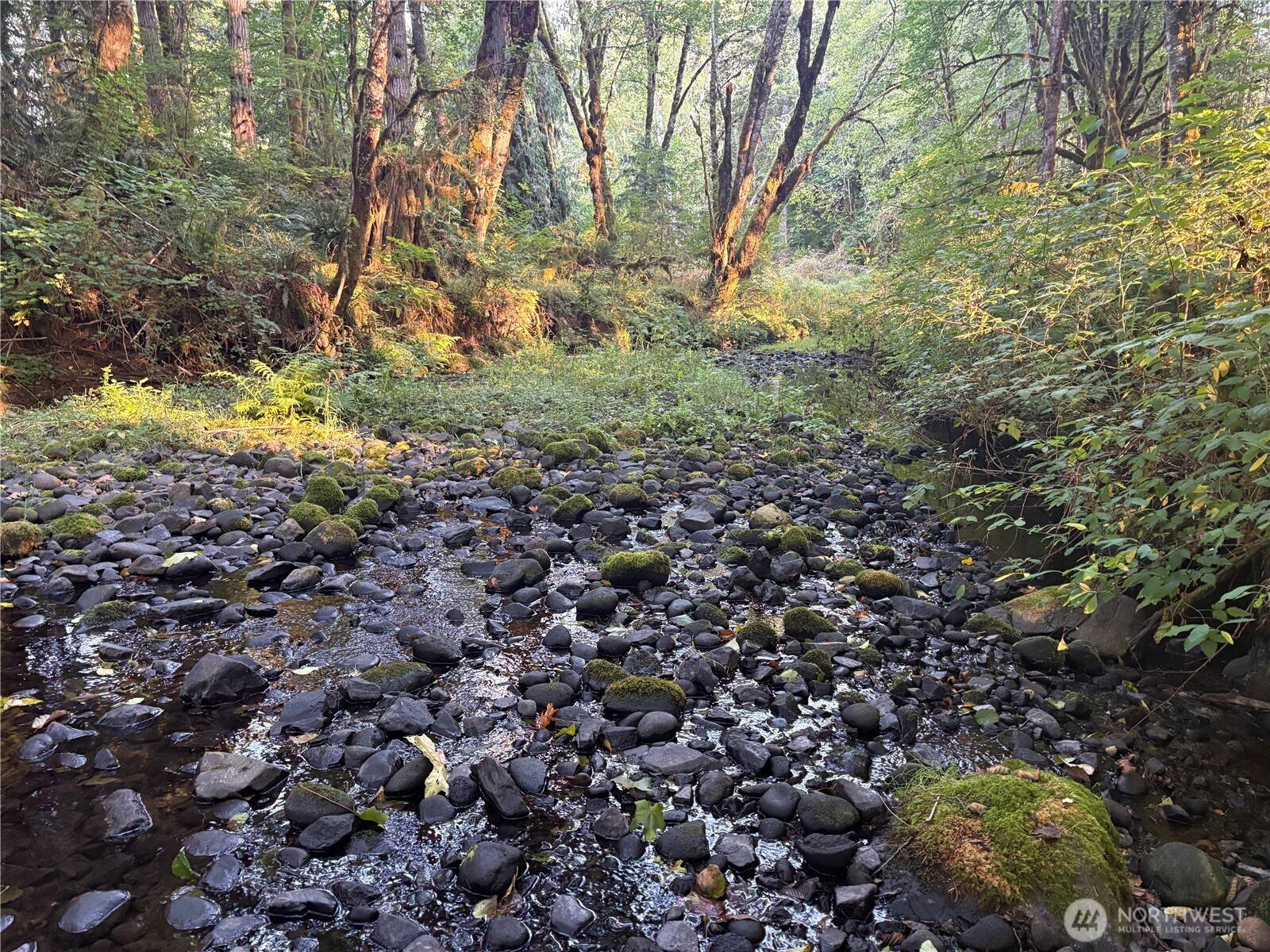 0 NKA Frank Smith RD, Toutle, WA 98649