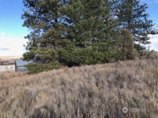 39680 -5 Star Barn RD N, Davenport, WA 99122