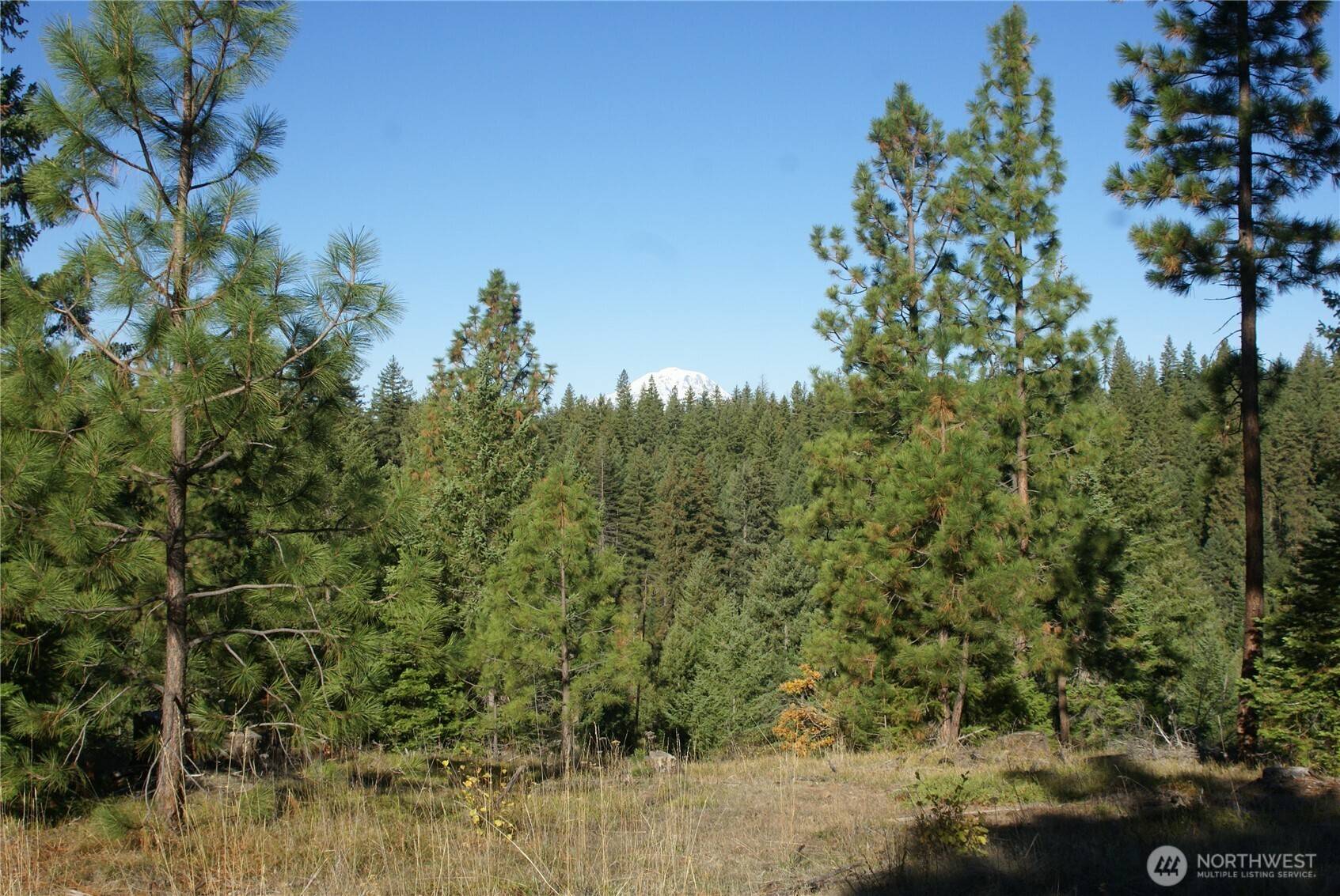8 Ginger WAY, Goldendale, WA 98620