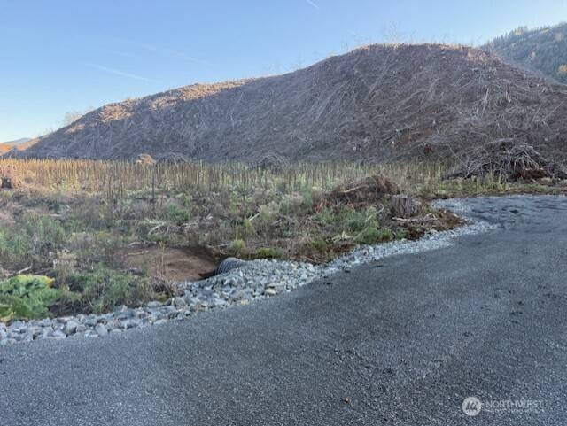 0 US Highway 12, Glenoma, WA 98336