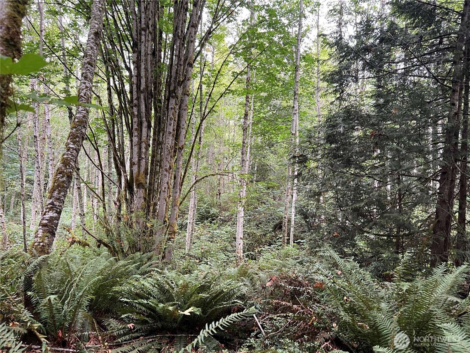 1 XX Scenic DR, Poulsbo, WA 98370