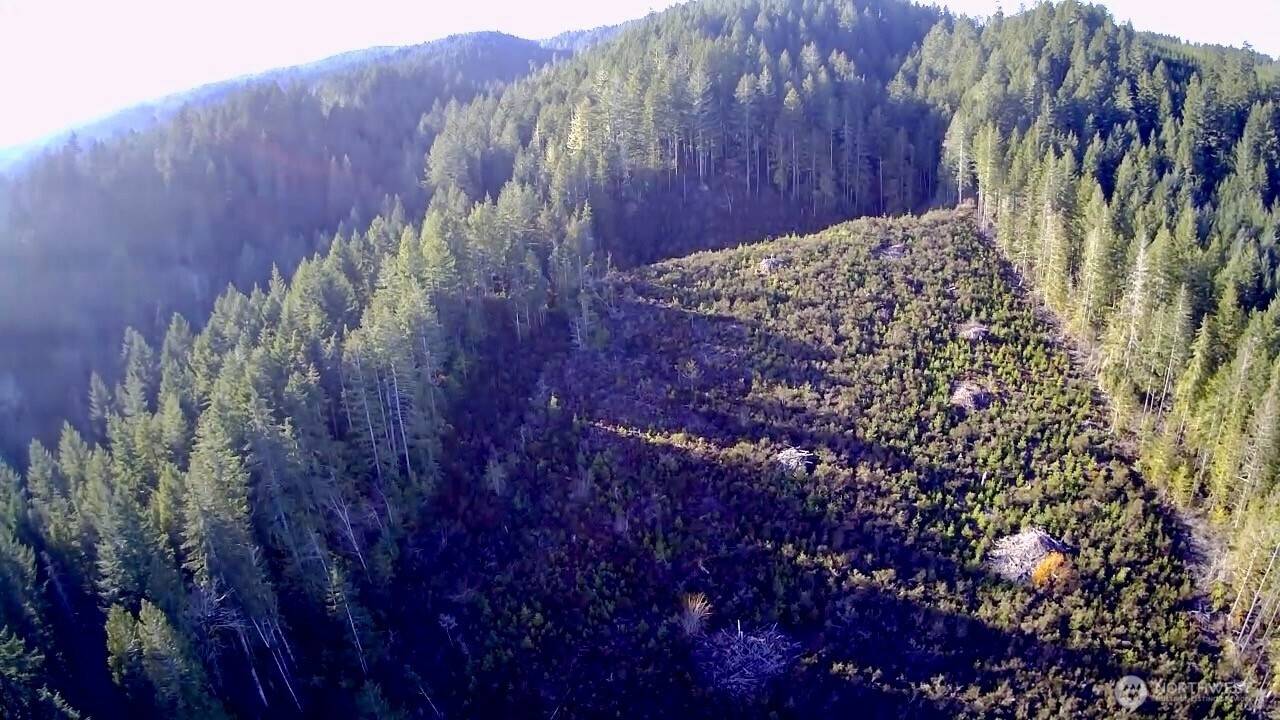 0 N US Highway 101, Shelton, WA 98584
