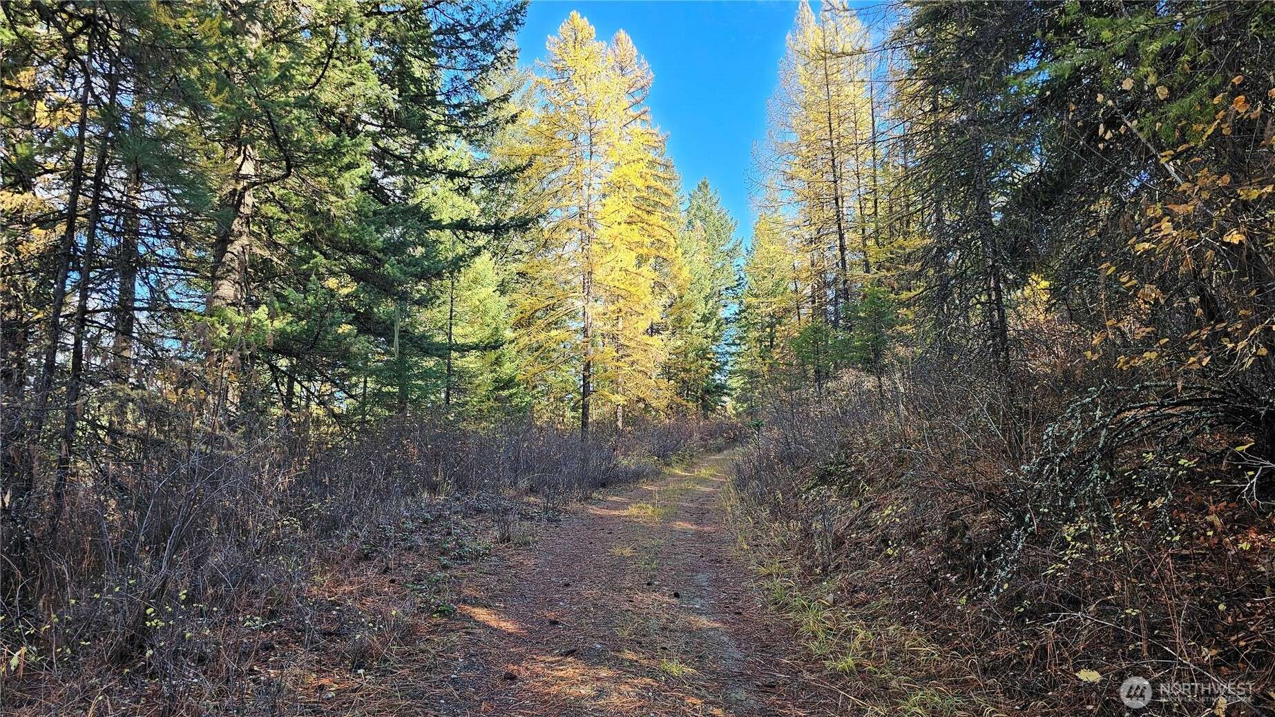 700 L Dry Gulch RD, Colville, WA 99114