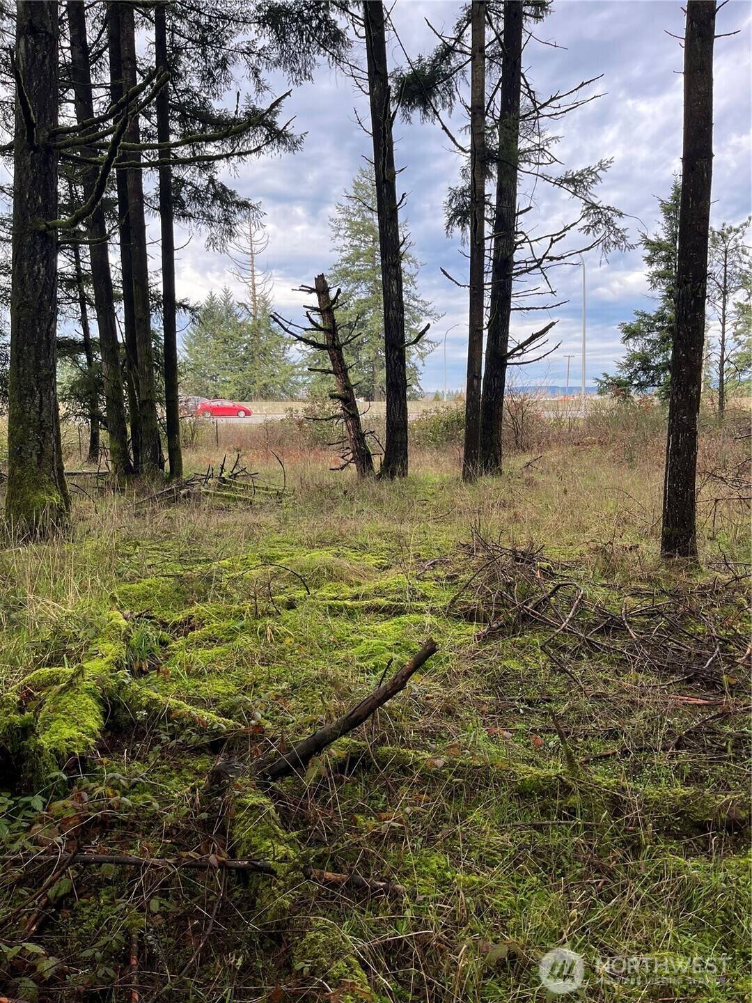 5945 Ivan WAY SW, Rochester, WA 98579