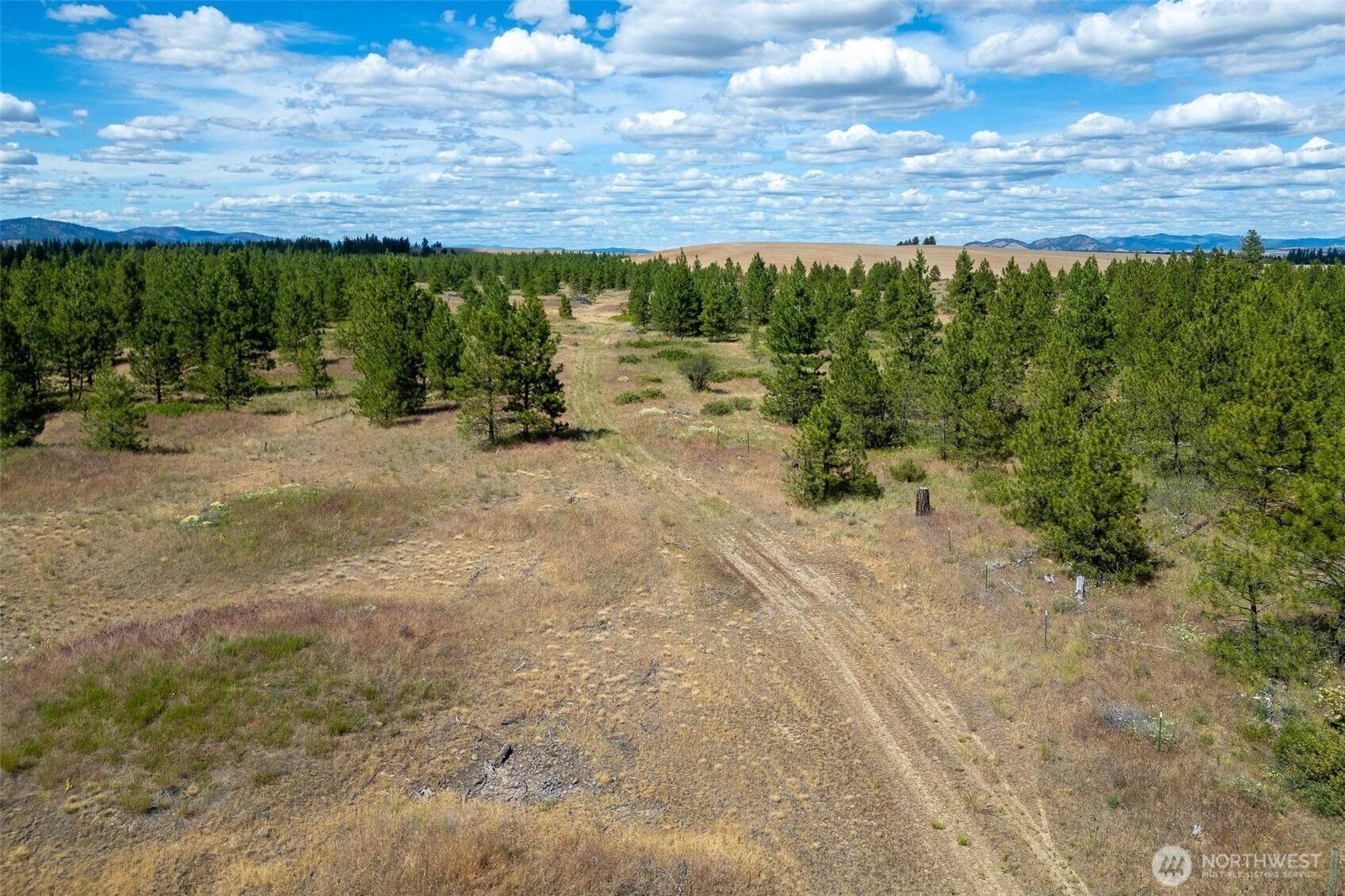 35390 Prairie LN N #Lot 5, Creston, WA 99117