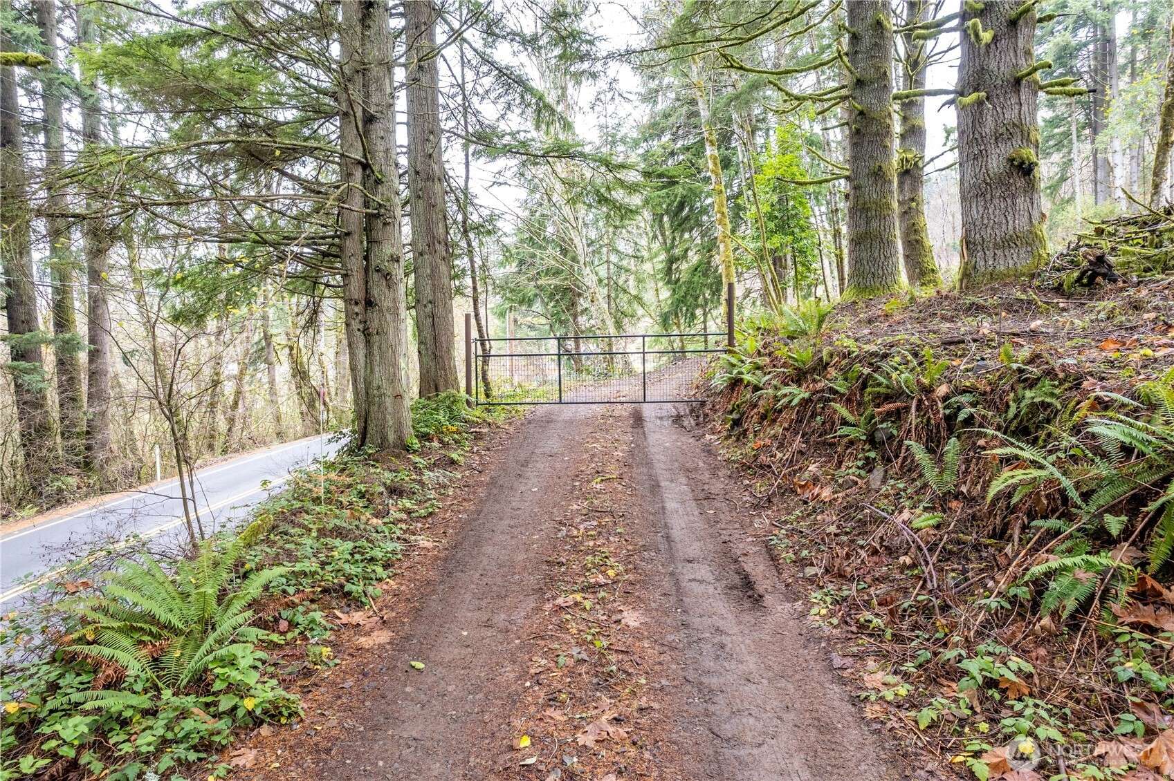 292 Woodside DR, Longview, WA 98632