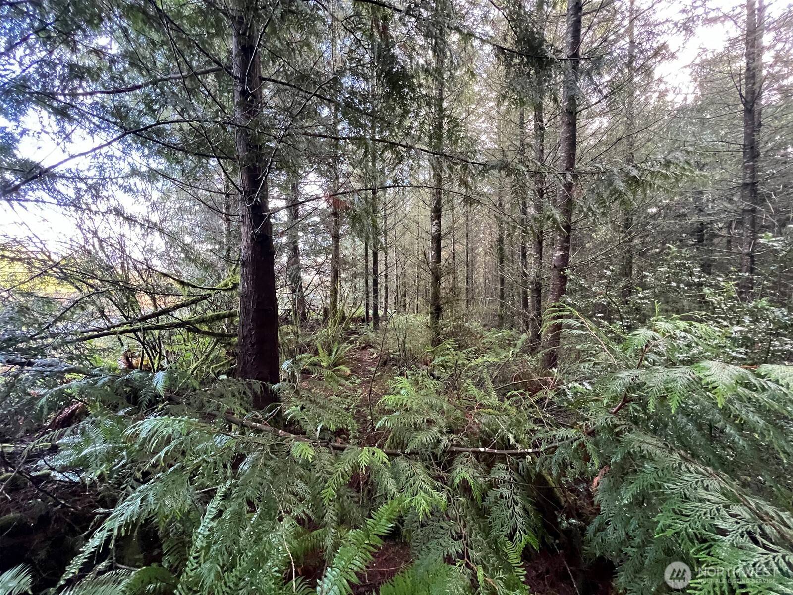 1 xxx Snow Creek RD, Quilcene, WA 98376