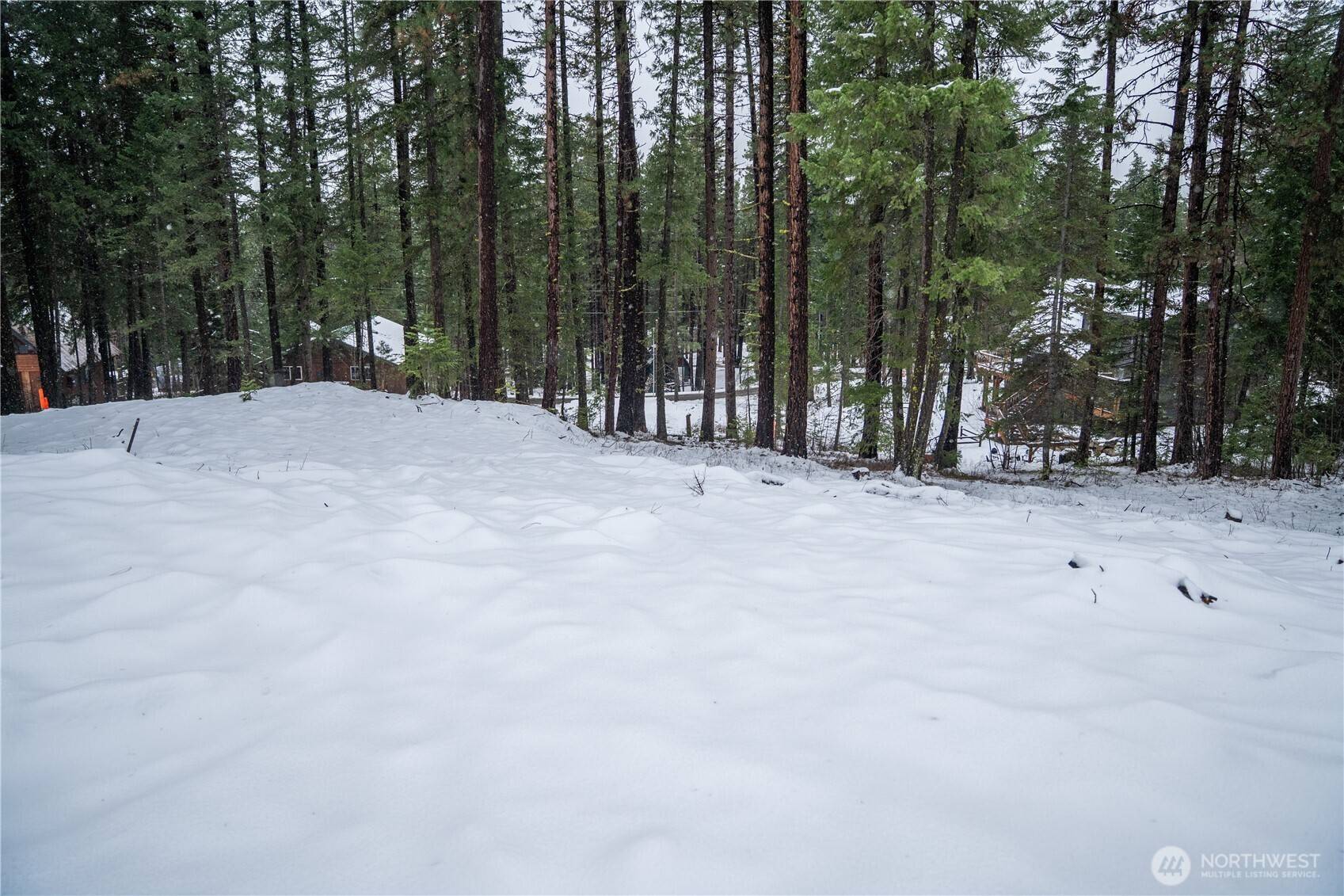 22124 Appaloosa LN, Leavenworth, WA 98826