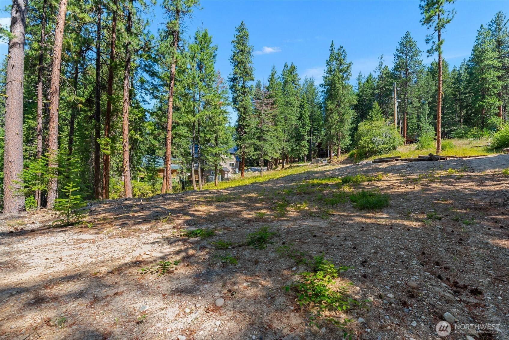 22124 Appaloosa LN, Leavenworth, WA 98826