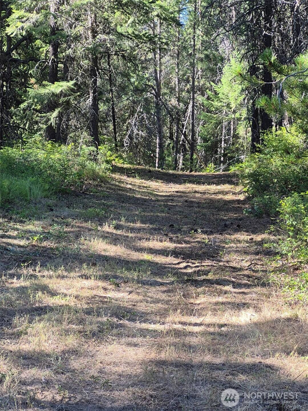0 W Jump Off Joe RD, Valley, WA 99181