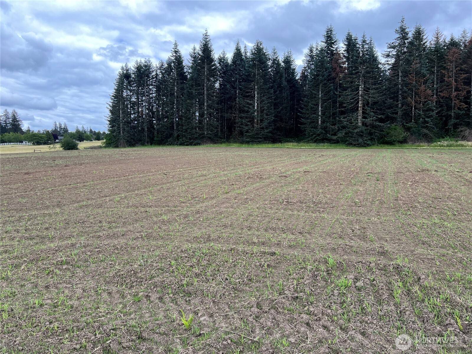 0 XXX SE 303 Ave, Washougal, WA 98671