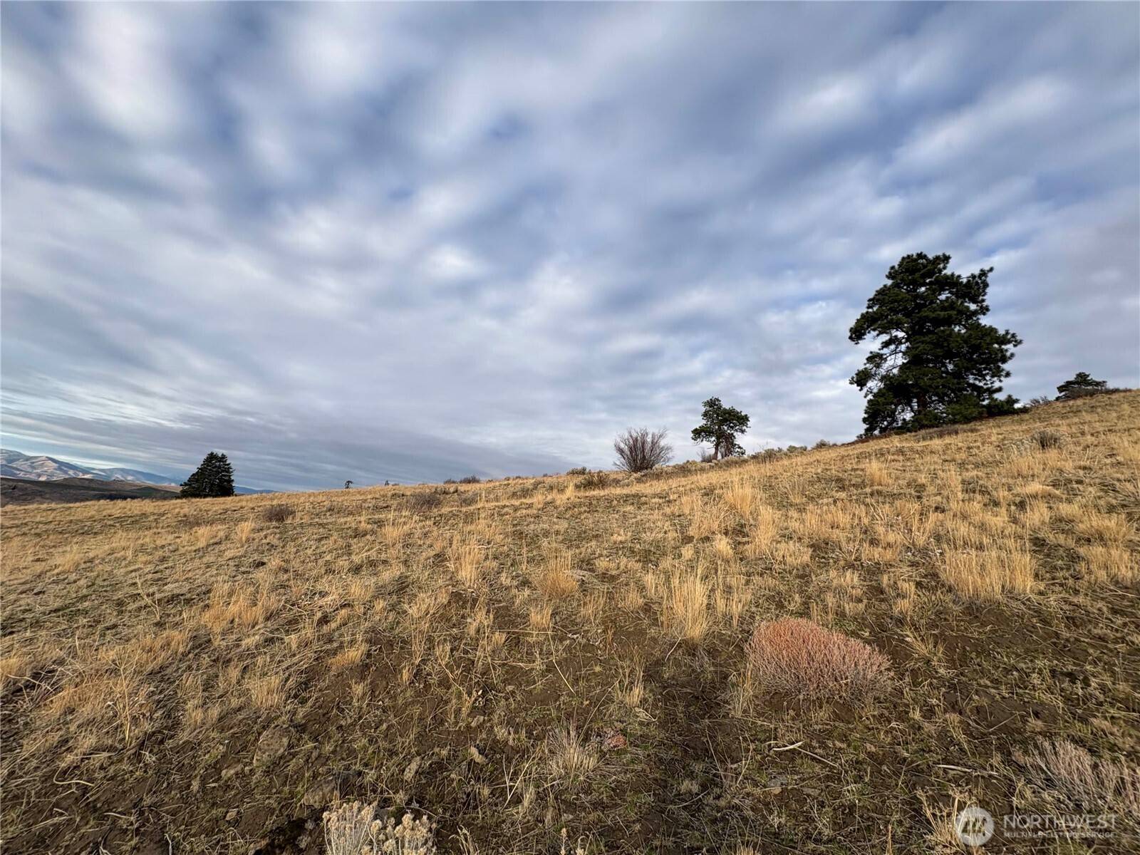 0 XX Deer Creek DR, Waterville, WA 98858