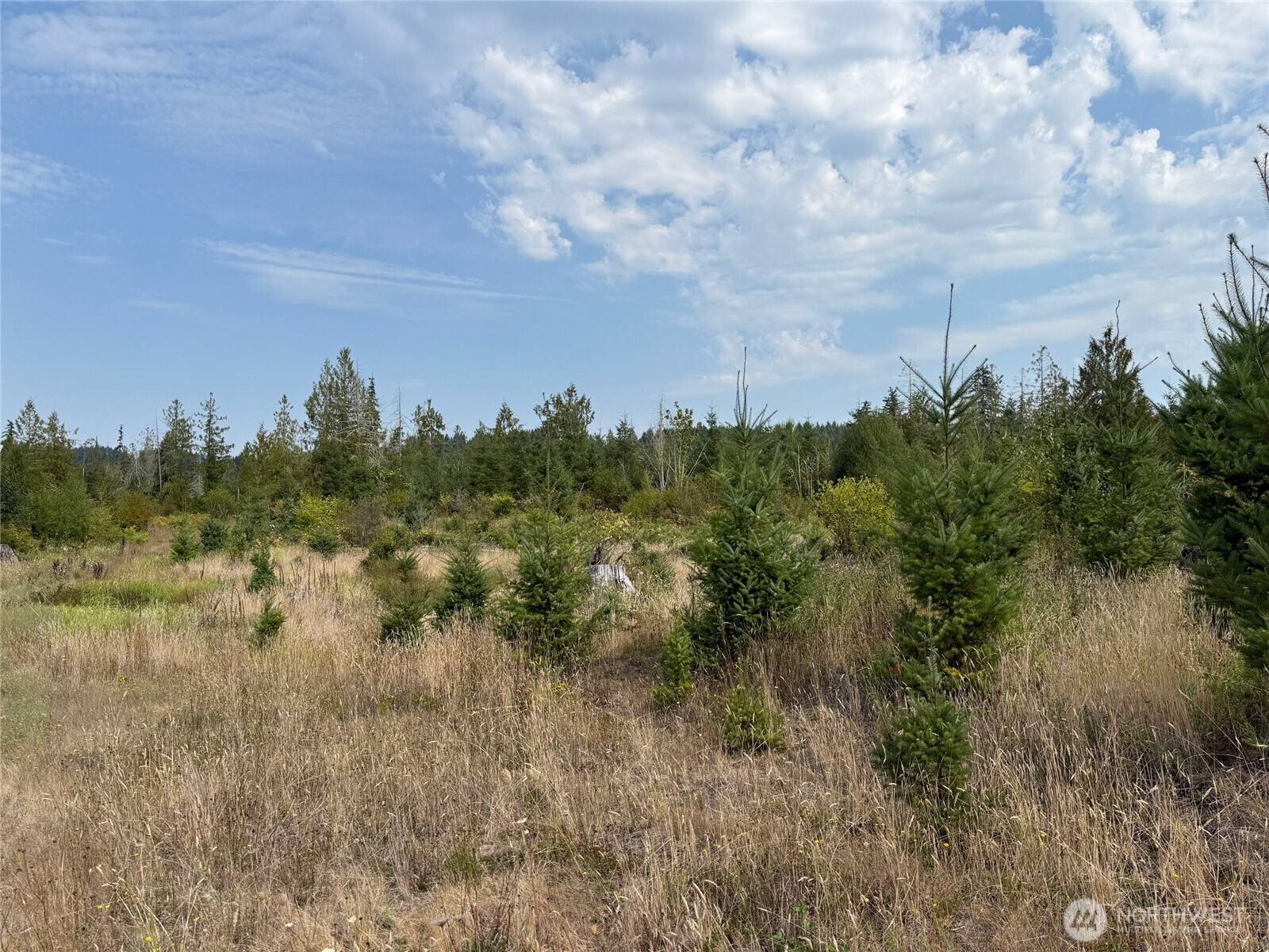 14 xx Spencer RD, Onalaska, WA 98570