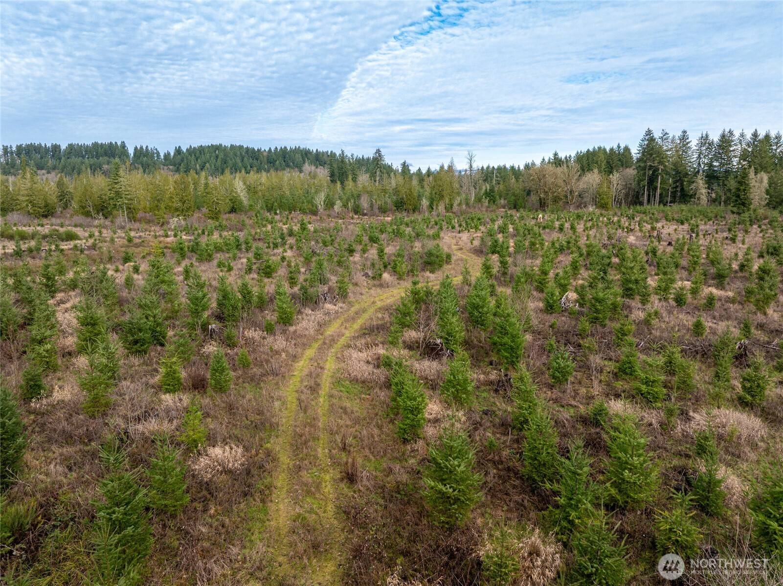 14 xx Spencer RD, Onalaska, WA 98570